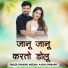 shambhu meena, Aasha Parjapat