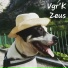 Vgr'K
