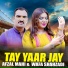 Afzal Mahi, Wafa Shahzadi