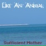Sufficient Mother