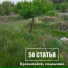 Неизвестен