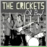 The Crickets