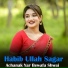 Habib Ullah Sagar