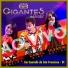 Gigantes do Brasil