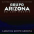 Grupo Arizona