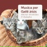 Musica per Gatti