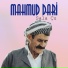 Mahmud Dari