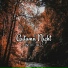 Relaxation - Ambient