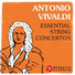 Chamber Orchestra Conrad von der Goltz