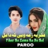 Paroo