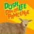 Dosh Lee