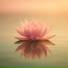 ONCE, Meditation