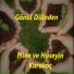 Hüseyin Karakoç, Mine Karakoç