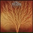 Van Der Graaf Generator