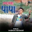 Vaibhav Bagmar