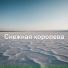 DJ Альберт project
