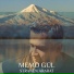 Memo Gül