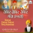 Bhai Balwinder Singh Ji Rangila