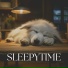 Music for Sleeping Puppies