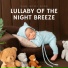Baby Music Zone