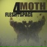 FLESH & SPACE