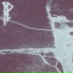 Polynitzvet