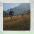 Denis Stelmakh & Icelandic Elephants