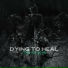 Dying To Heal