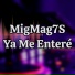 MigMag7S