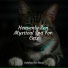 Cat Music Therapy, Music For Cats TA, RelaxMyCat