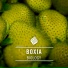 Boxia