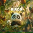 Panda Nature, Panda Ambience, Panda Music