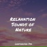 Water Spa, Oasis of Meditation, Rain Sound Plus