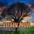 Bayram Ergül