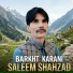 Saleem Shahzad