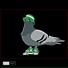 alhan Rap