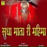 SURESH KUMAR SHRIMALI