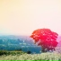 Elior