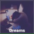 Lofi Sleep Chill & Study