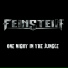 David "Rock" Feinstein