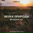 Надежда Лоскутова