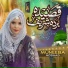 Muneeba Noshad
