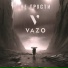 VAZO