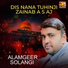 Alamgeer Solangi