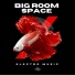 Big Room Space