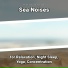New Age, Ocean Sounds, Nature Sounds