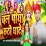 Rajesh Yadav, Partima Aarya