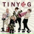 타이니지(TINY-G)
