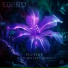 Elwind feat. Brittany Egbert
