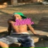 Mc Mininin, DJ Ag o Gringo, DJ FAISCA